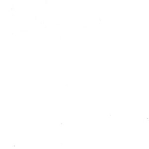 Signal White